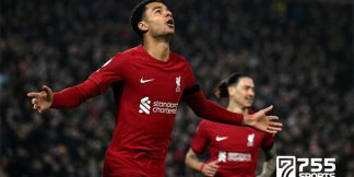 Cody Gakpo Akhirnya Pecah Telur di Liverpool  