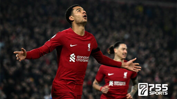 Cody Gakpo Akhirnya Pecah Telur di Liverpool