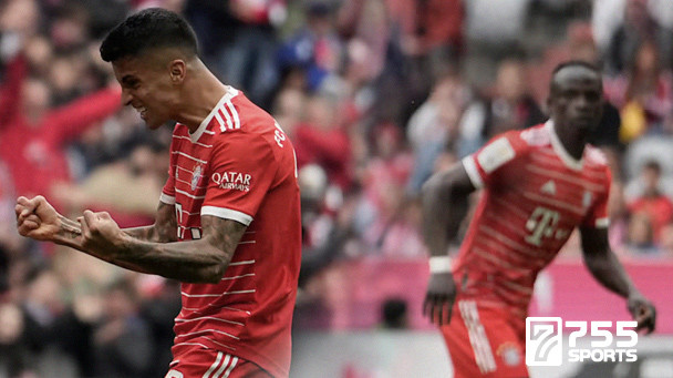 Musim Panas Ini, Bayern Munchen Akan Lepas Dua Punggawanya