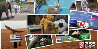 Prediksi Bola Dari Binatang Yang Pernah Viral Di Dunia  